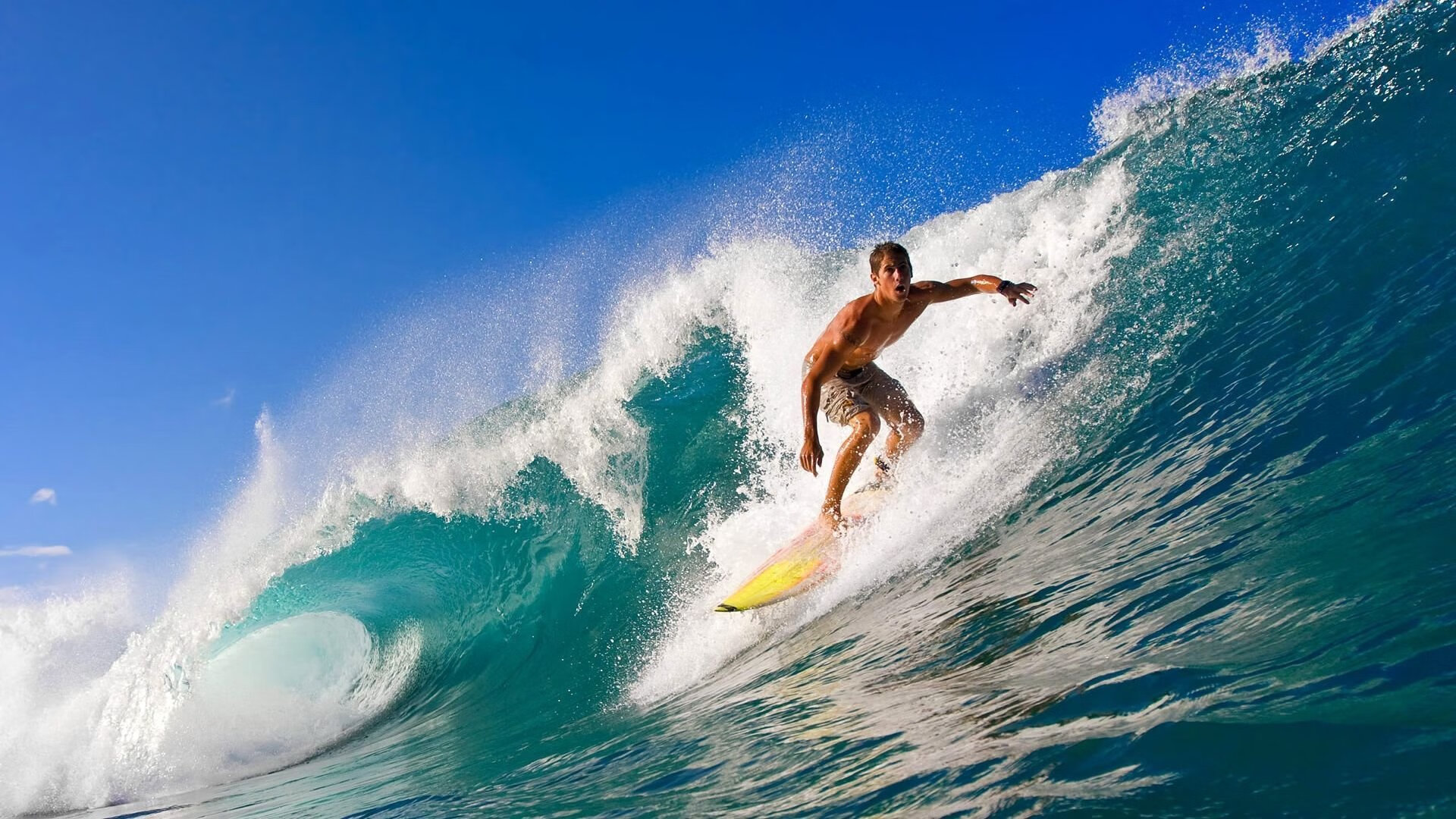 F1新赛季揭幕战之夜,文班亚马的赛道压制级表演